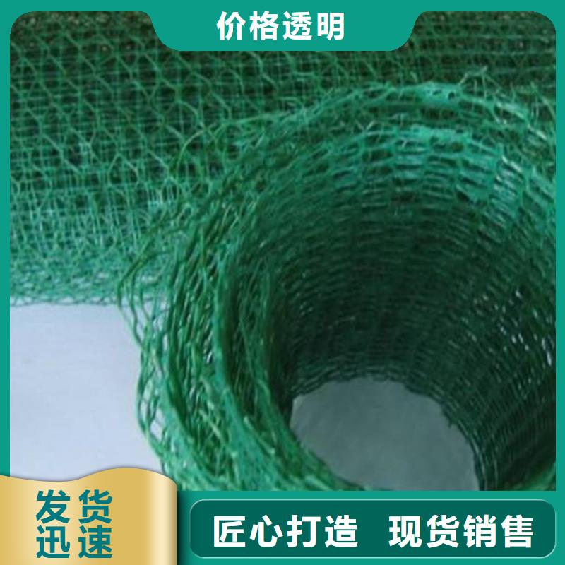 三维植被网塑料盲沟敢与同行比服务