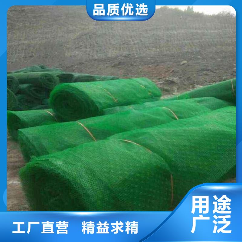 三维植被网凸结点钢塑土工格栅行业优选