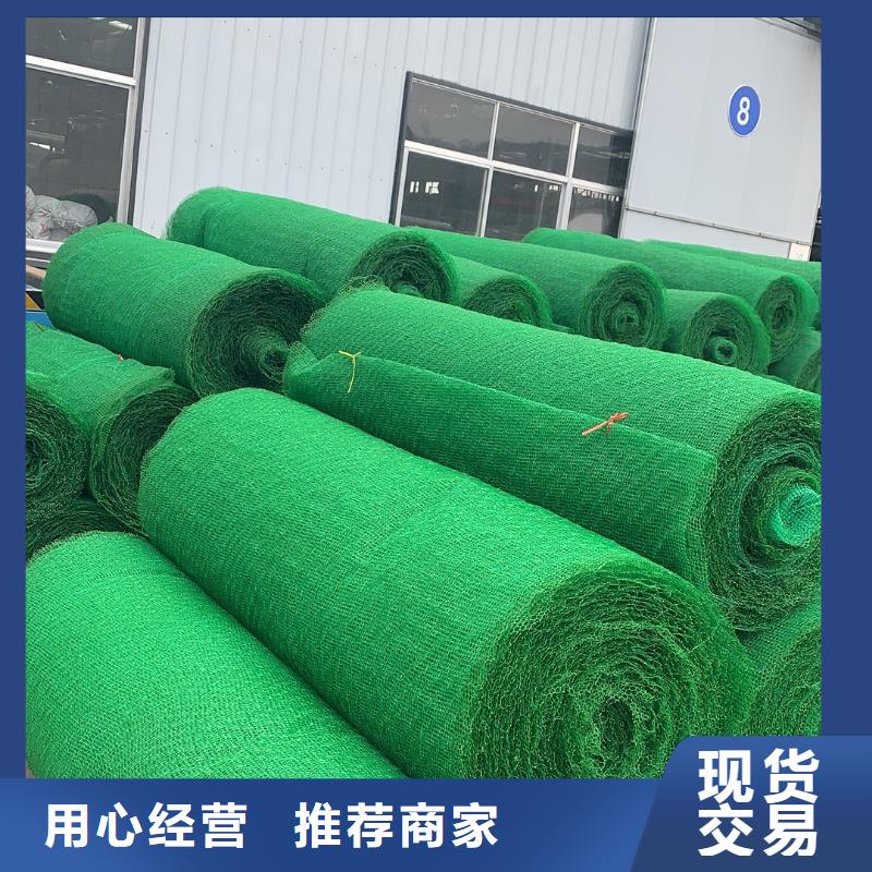 三维植被网复合土工膜厂家型号齐全