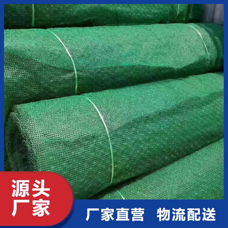 三维植被网凸结点钢塑土工格栅行业优选