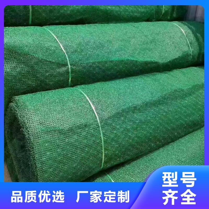 三维植被网凸结点钢塑土工格栅行业优选