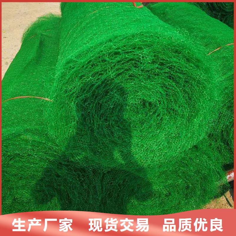 三维植被网-防尘布真正让利给买家