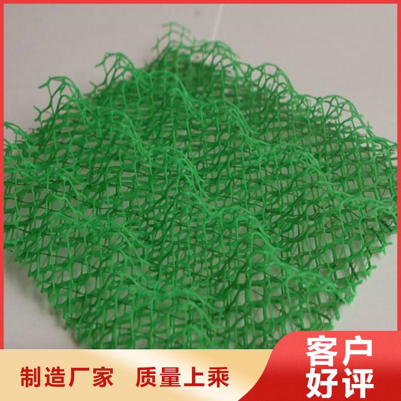 植草格-三维植被网-塑料排水管