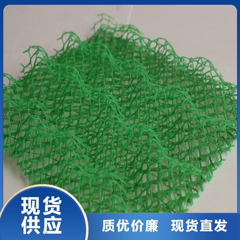 三维植被网-塑料-蓄排水板-双向塑料土工格栅-软式透水管
