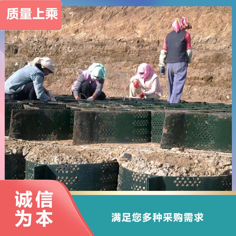 塑料焊接|打孔|植草护坡|蜂窝土工格室-厂家直销