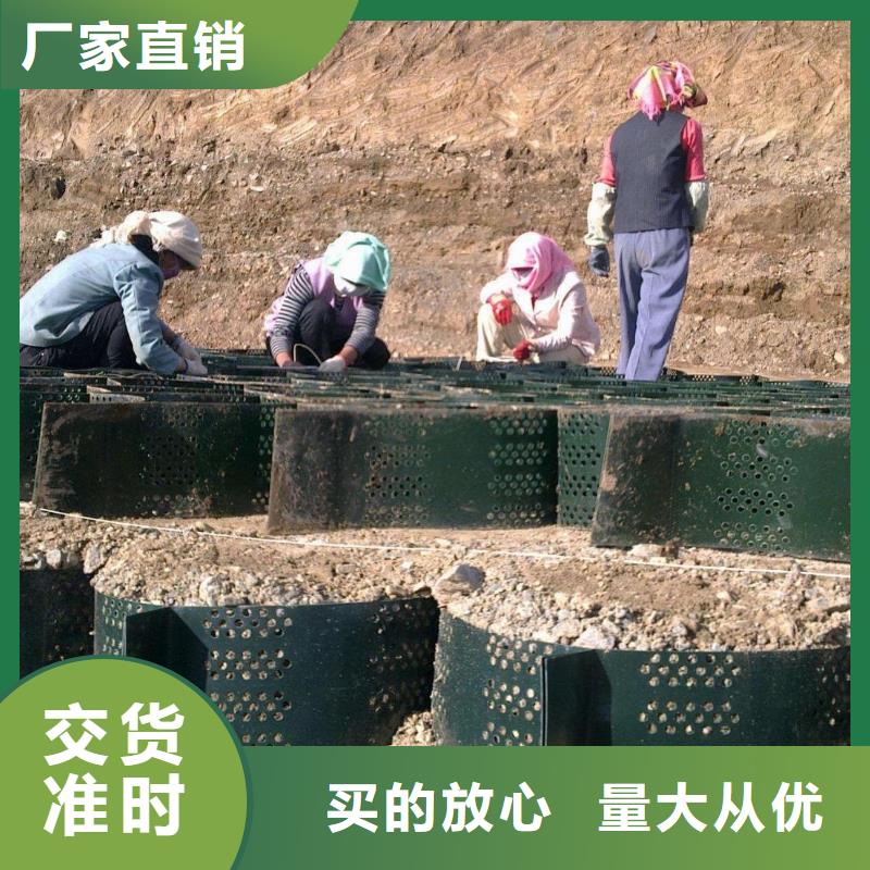 土工格室-厂家价格供应蜂巢土工格室、HDPE塑料土工格室定制