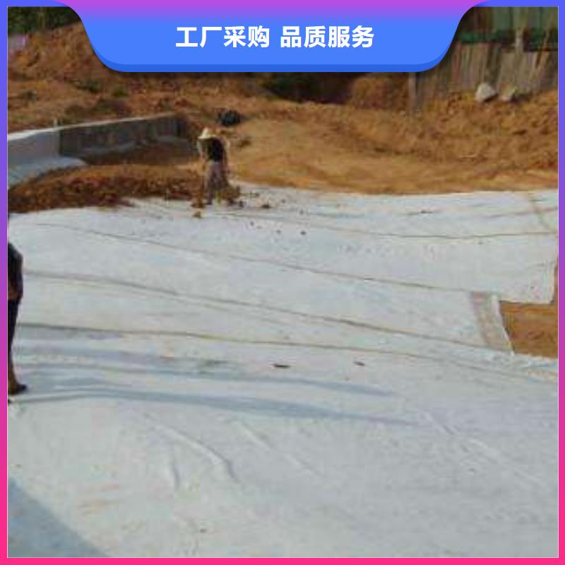 【膨润土防水毯涤纶土工格栅质量牢靠】