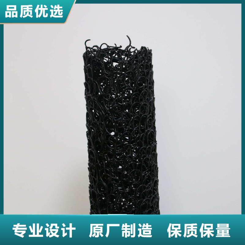 塑料盲沟三维土工网垫无中间商厂家直销
