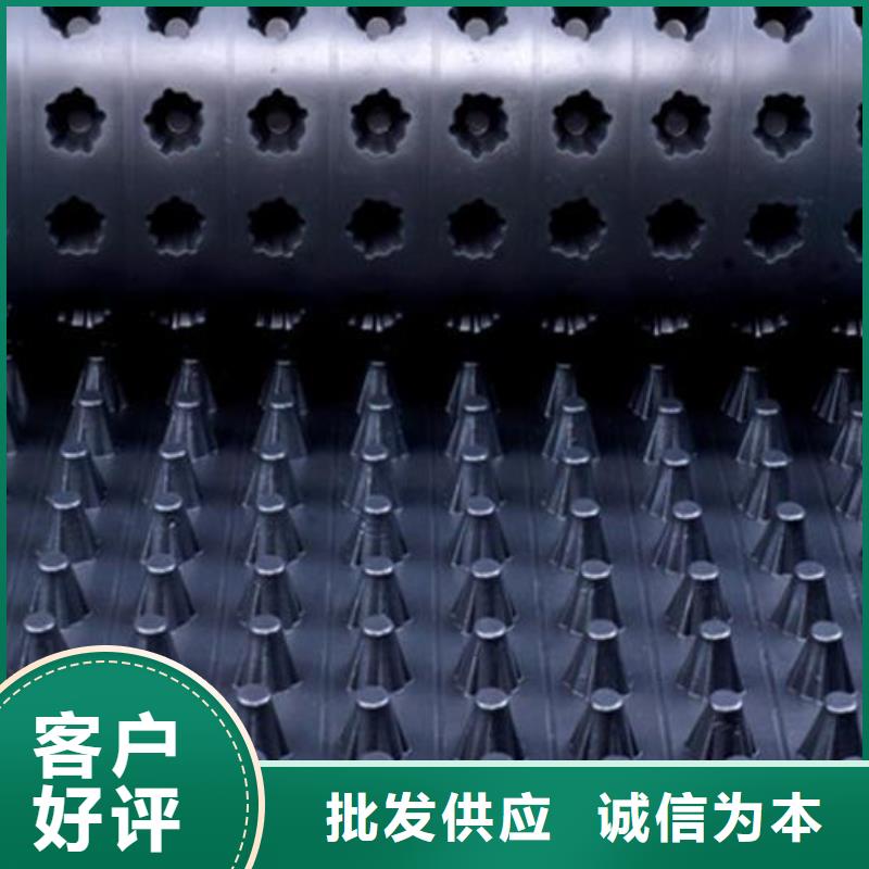 排水板,聚乙烯土工膜质量优选