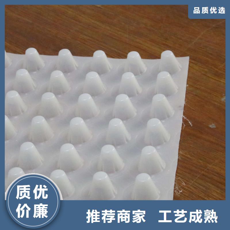 排水板PP焊接土工格栅海量货源