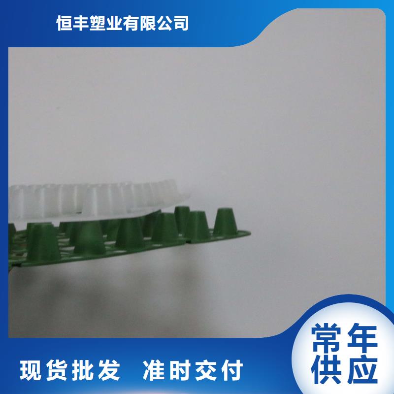 塑料防护排水板】塑料防护排水板价格_塑料凸片排水层