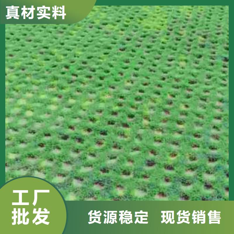 植草格单向塑料土工格栅厂家案例