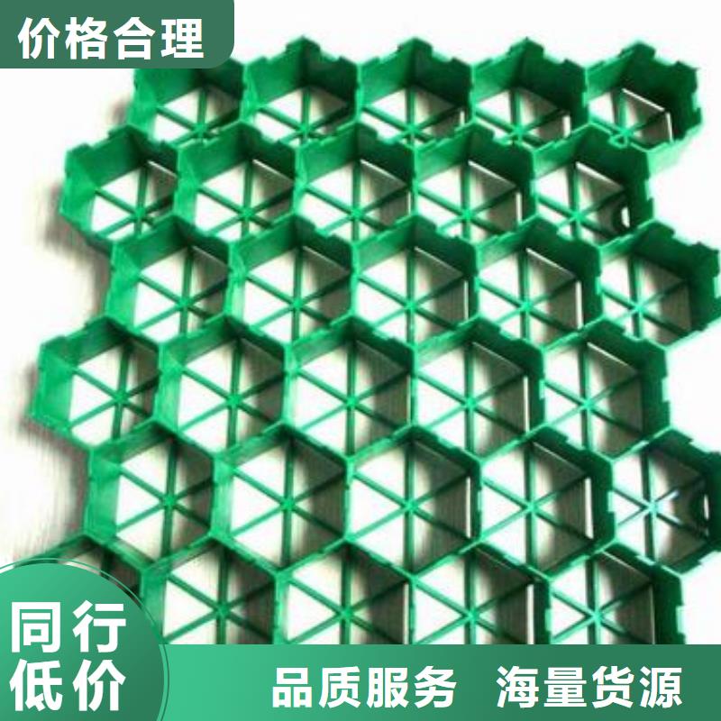植草格单向塑料土工格栅厂家案例