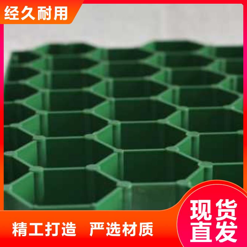 植草格单向塑料土工格栅厂家案例