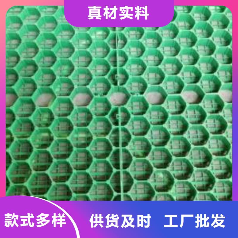 植草格单向塑料土工格栅厂家案例