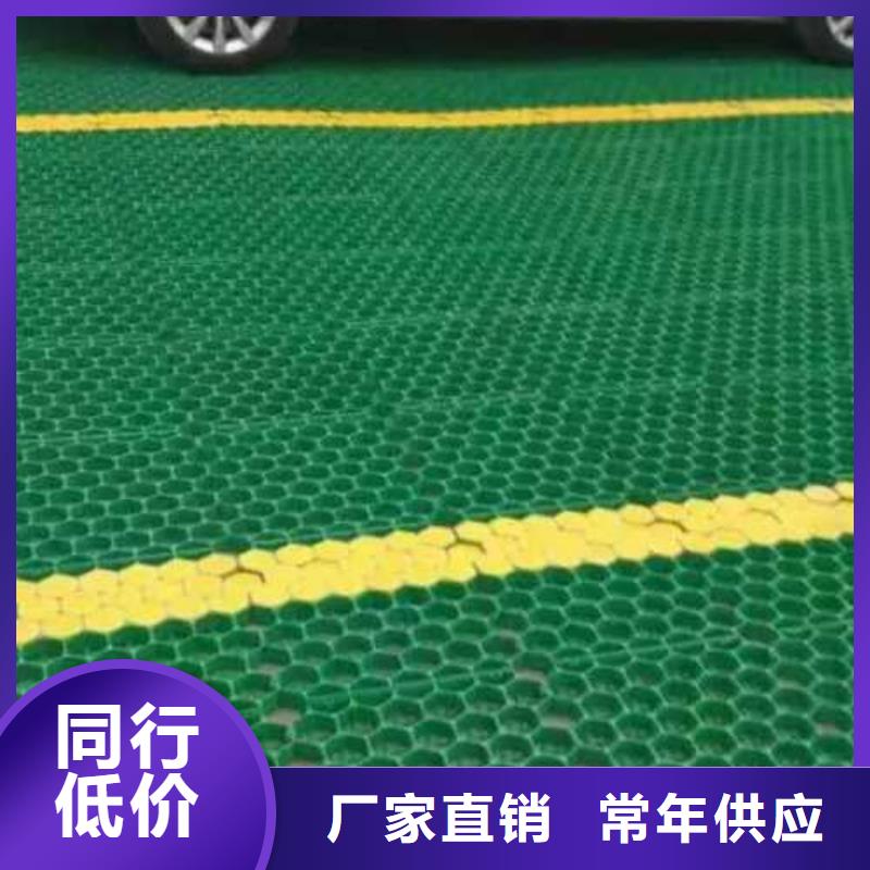 植草格单向塑料土工格栅厂家案例