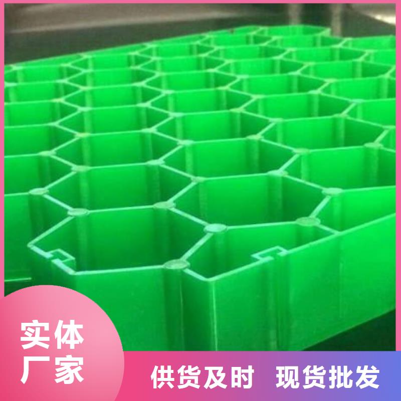 植草格单向塑料土工格栅厂家案例