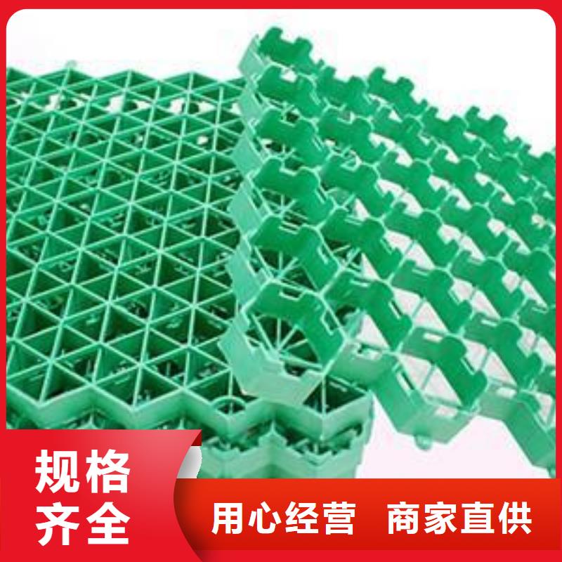 植草格玻纤土工格栅诚信经营
