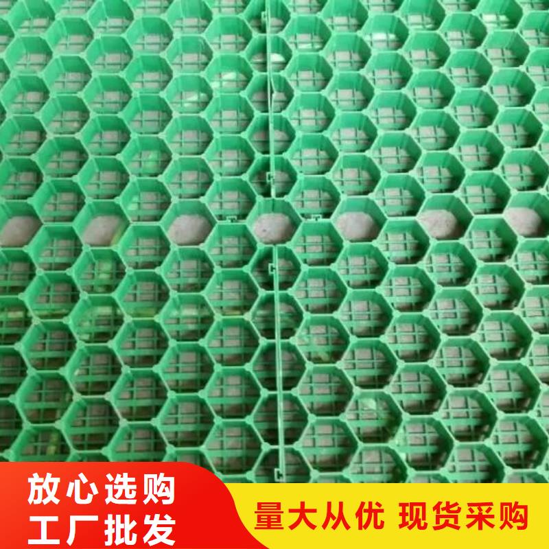 植草格_hdpe复合膜设计合理
