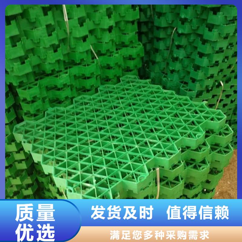 【植草格HDPE土工膜一站式采购】