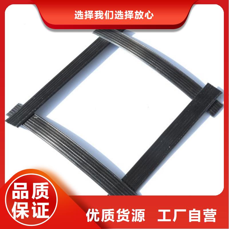 pp焊接土工格栅土工席垫价格透明