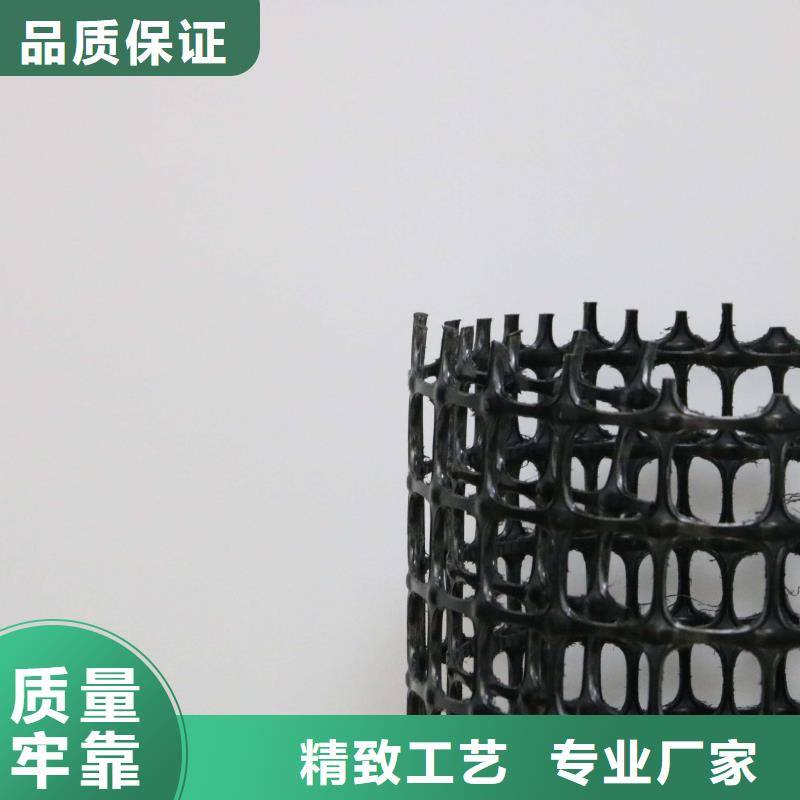 塑料土工格栅_凸结点钢塑土工格栅今年新款