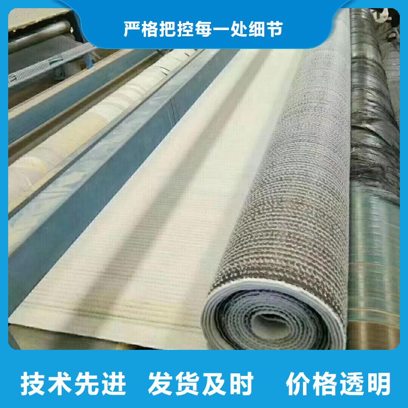 膨润土防水毯聚乙烯土工膜服务周到