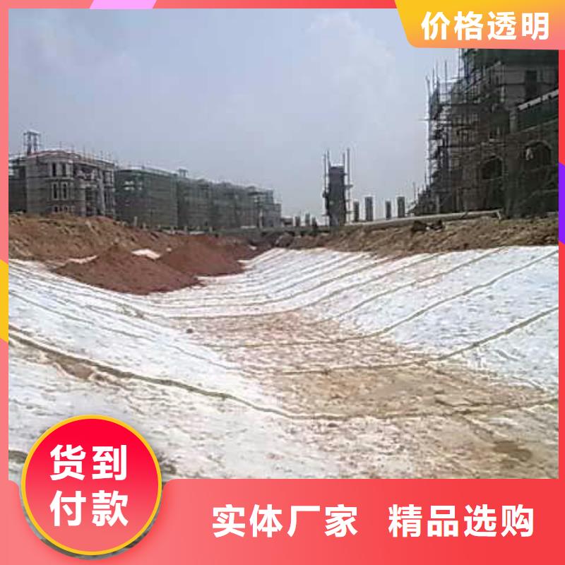 膨润土防水毯土工席垫质检严格放心品质