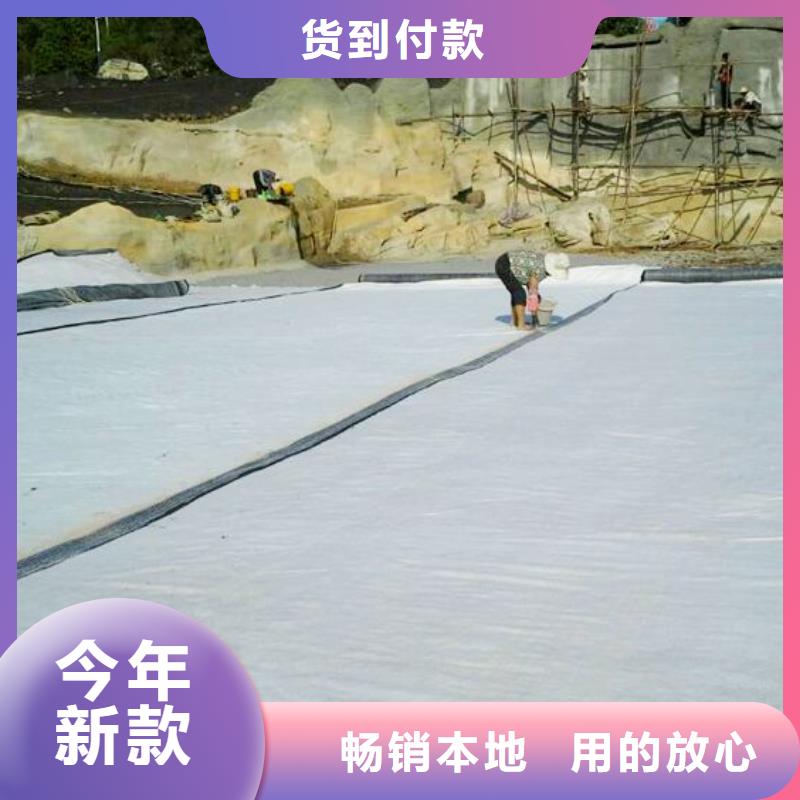 膨润土防水毯聚乙烯土工膜服务周到