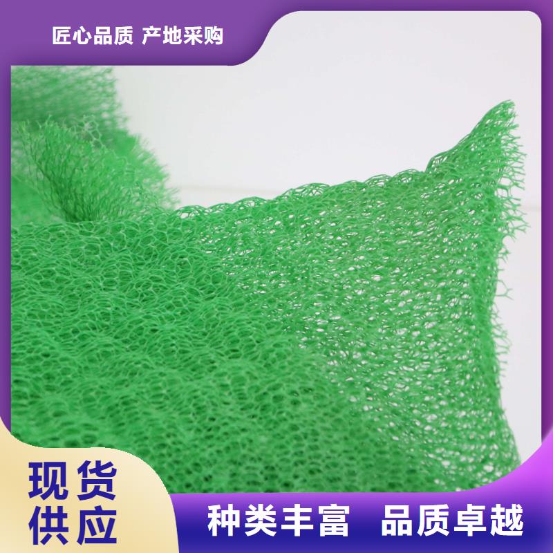 三维植被网土工布好品质售后无忧