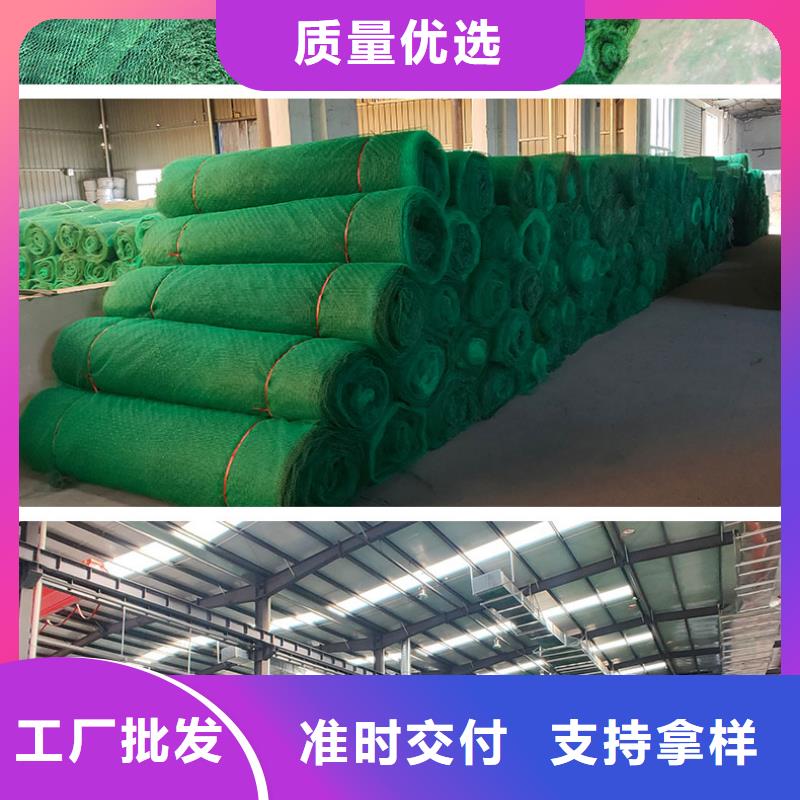 三维植被网土工布好品质售后无忧