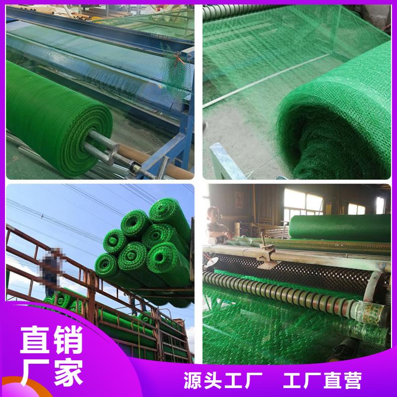 三维植被网三维土工网垫采购