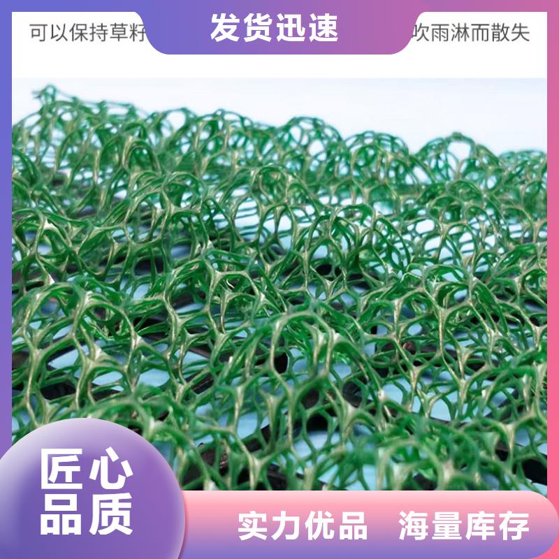 EM3三维植被网塑料植被网价格-2024年最新报价