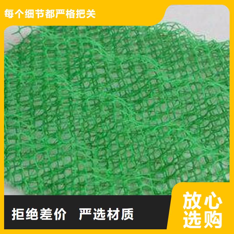 三维植被网垫多规格可定制