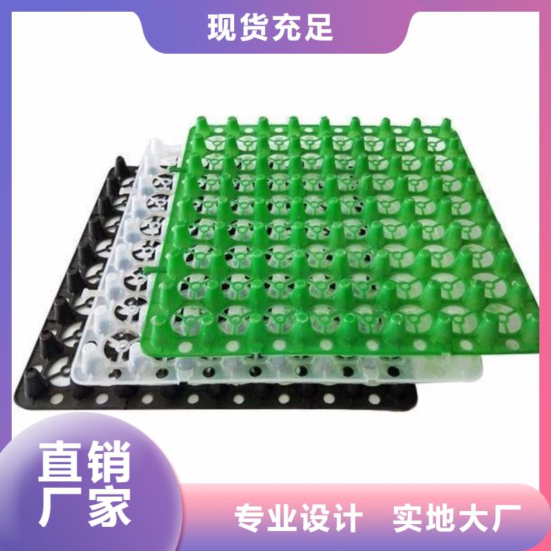 塑料排水板单向塑料土工格栅敢与同行比价格