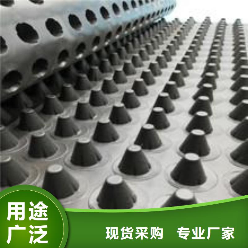 塑料排水板单向塑料土工格栅敢与同行比价格