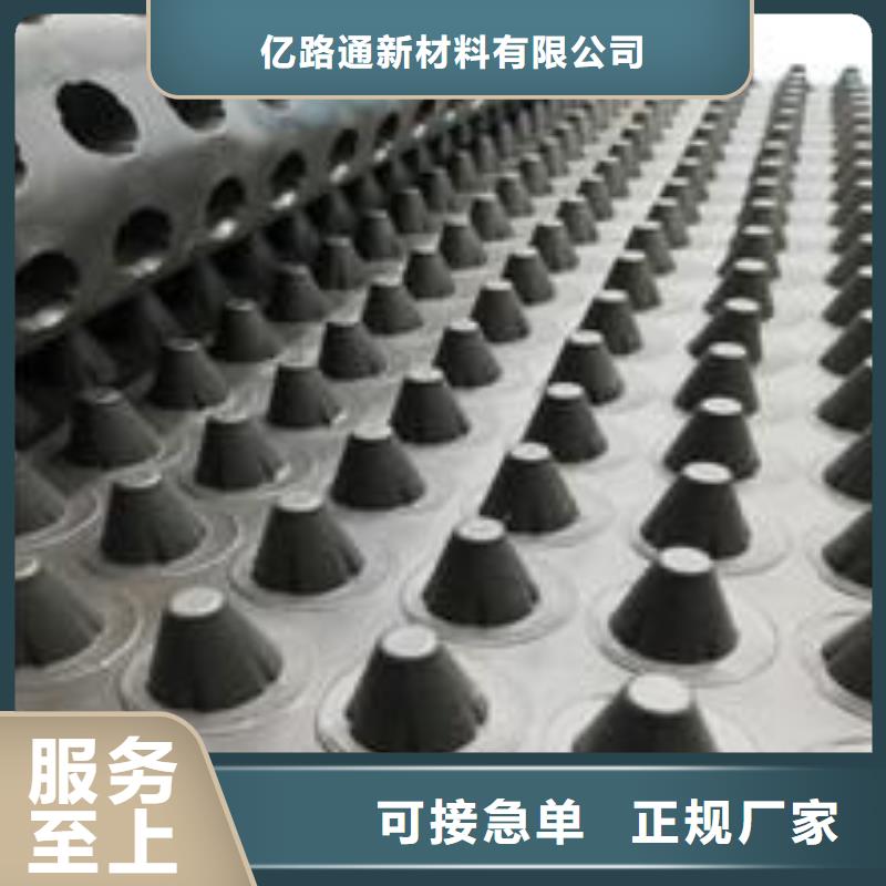 塑料排水板凸结点钢塑土工格栅多年实力厂家