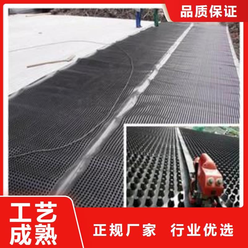 塑料排水板【三维土工网垫】按需定做