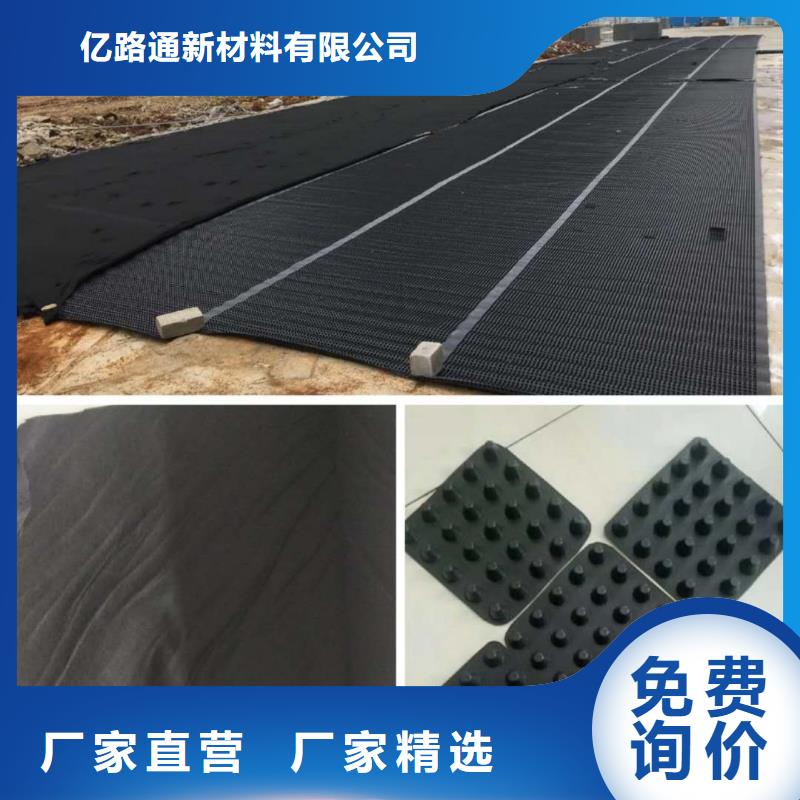 塑料排水板双向土工格栅厂家案例