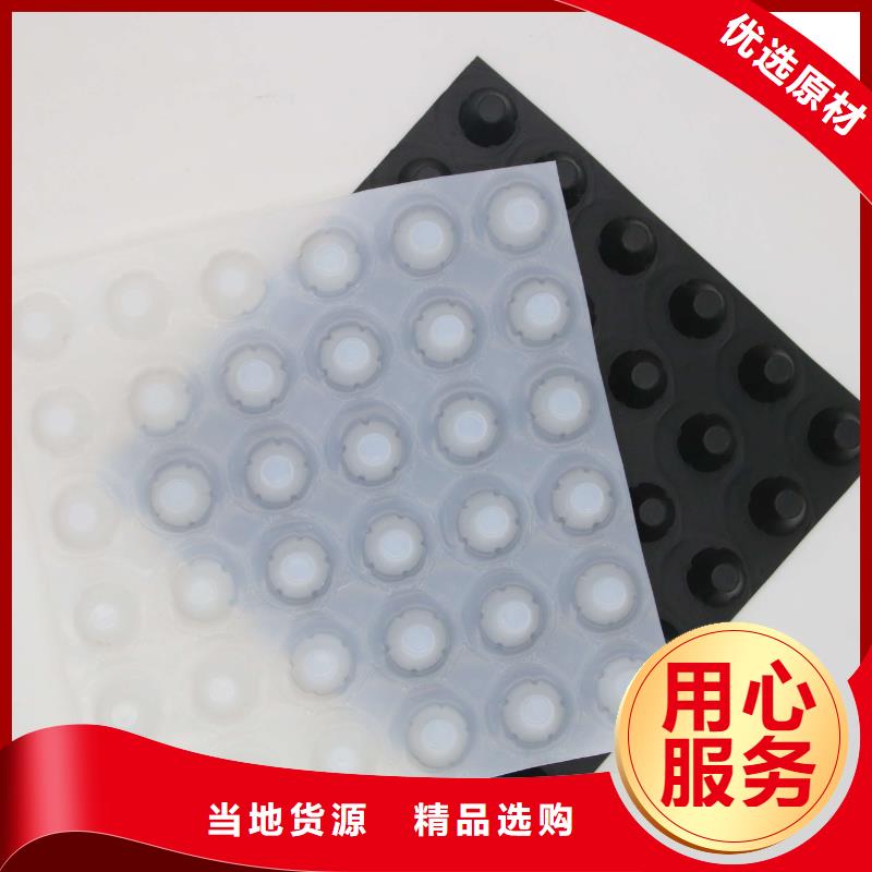 塑料排水板双向土工格栅厂家案例