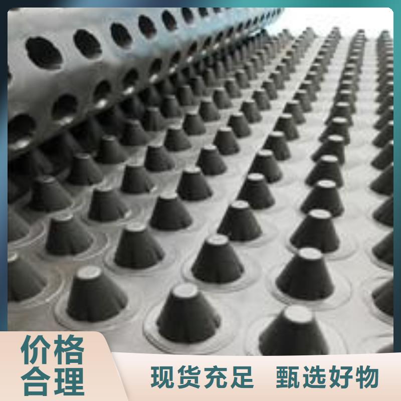 塑料排水板双向土工格栅厂家案例