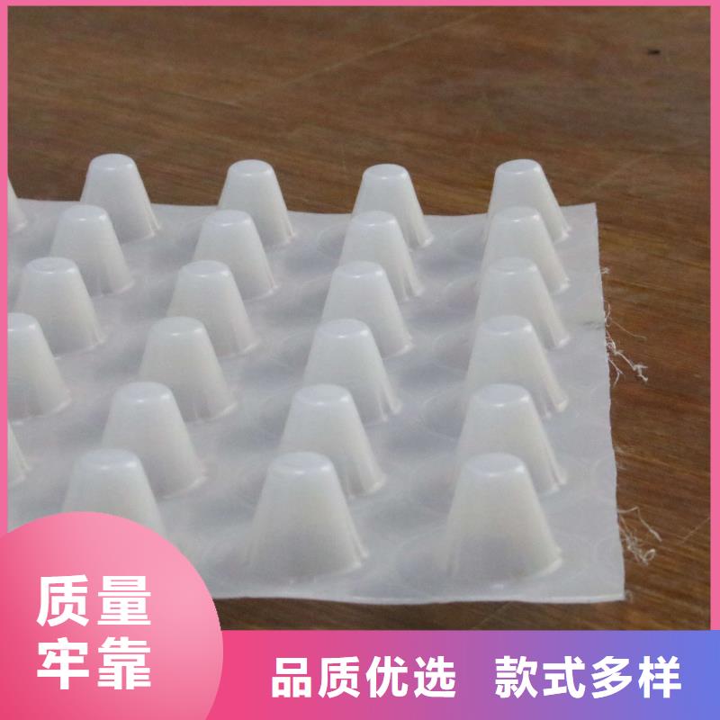 塑料排水板塑料土工滤网量少也做