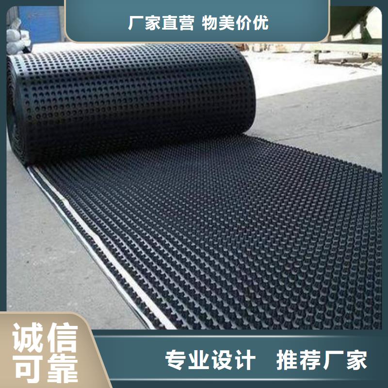 塑料排水板单向塑料土工格栅敢与同行比价格