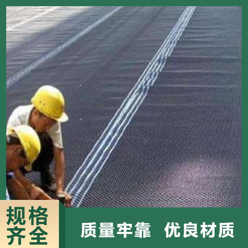 塑料排水板塑料土工滤网量少也做