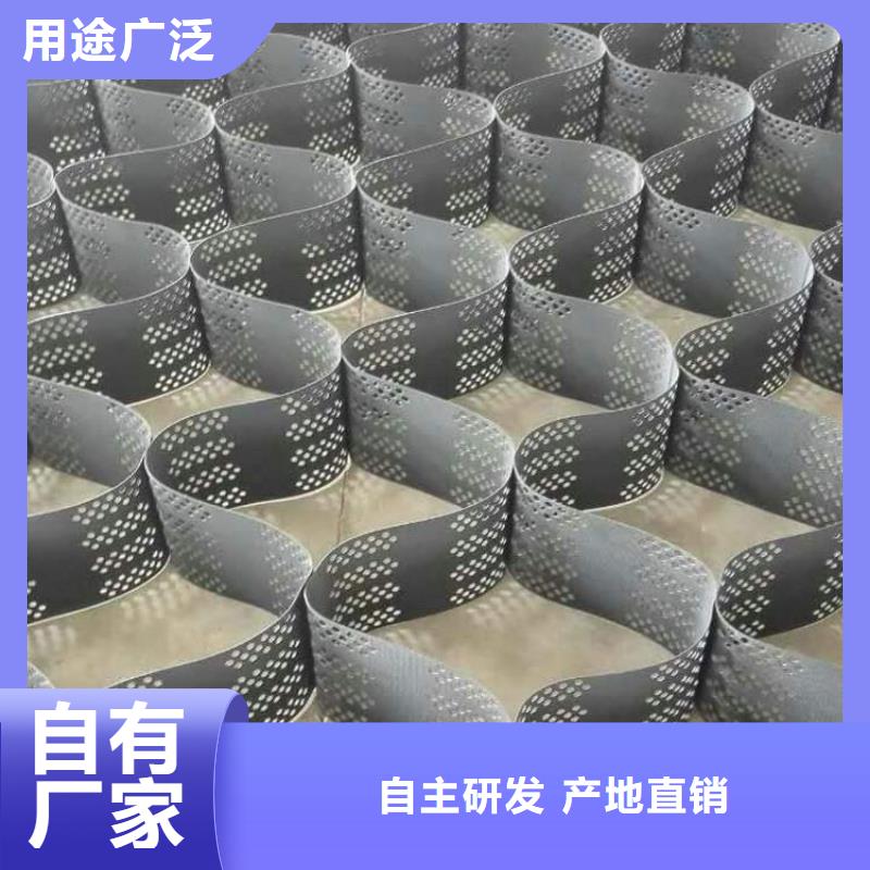 土工格室钢塑土工格栅自有生产工厂
