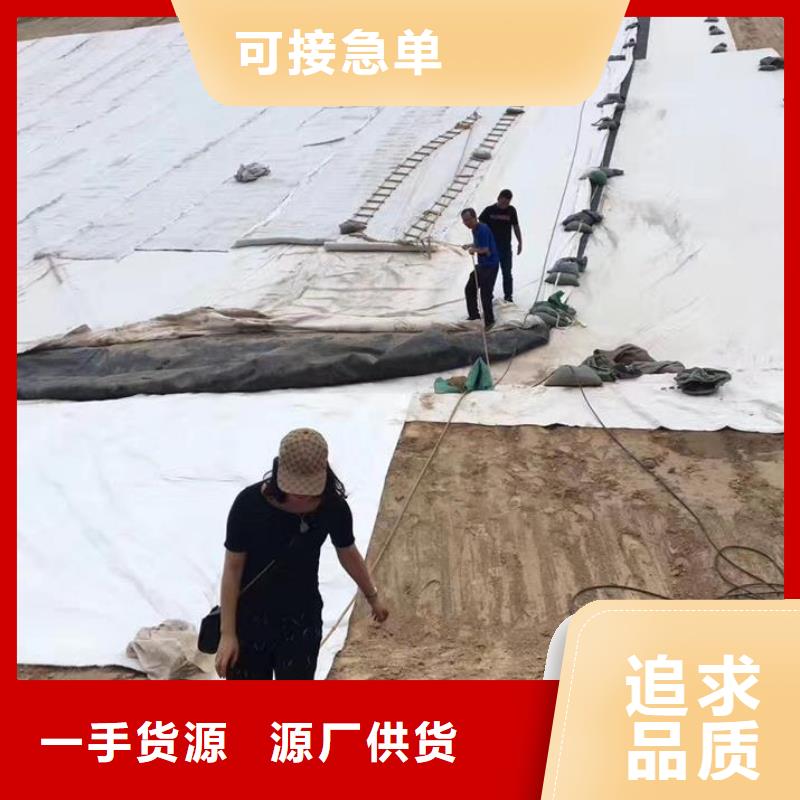 三维复合排水网护坡土工网支持批发零售