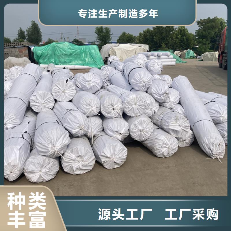 双向土工格栅凸结点钢塑格栅施工方法