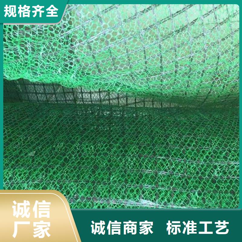 三维植被网厂家三维网垫价格生产基地