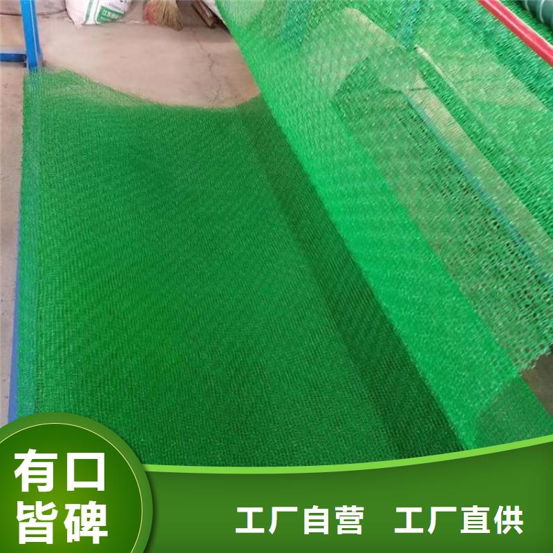 三维植被网【双向塑料格栅】现货