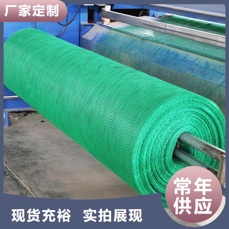 三维植被网三维土工网垫专业生产制造厂